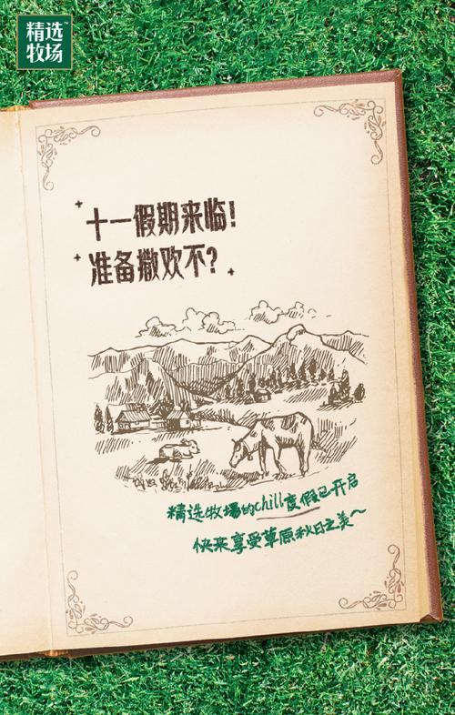 内部三肖一码,最佳精选数据资料_手机版24.02.60