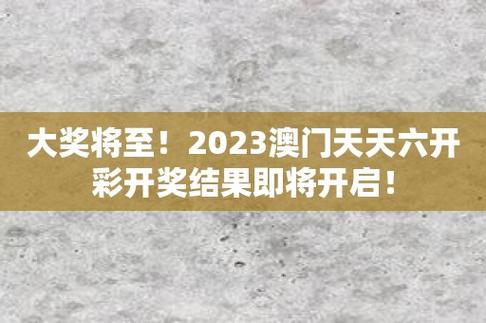 2024年12月1日 第13页