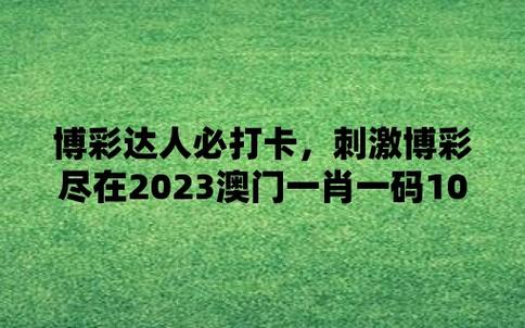 2024年12月9日 第9页