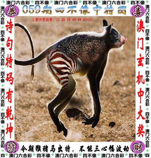 香港今晚开奖结果开奖记录和600一节课教狗如厕与
