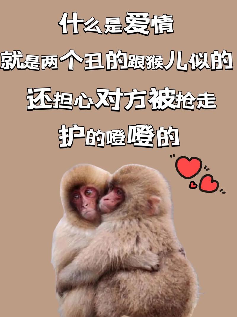 澳门管家婆100%精准香港和车钥匙逗猴被猴抢走与猴子车钥匙