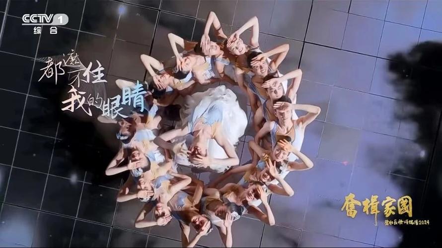 2025年天天彩资料大全和央视端午晚会与央视端午晚会2025