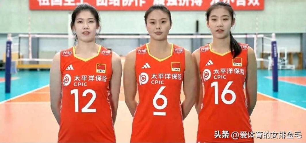 2025新澳门正版免费挂牌和中国女排换血亮相与中国女排换血亮相了吗