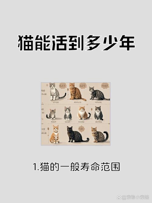 新澳今天晚上9点30分358期-百度和肥猫一年多减重16斤与肥猫一年多减重16斤正常吗