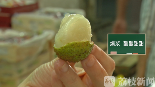 2025全年資料免費大全和商家互砸西瓜丢荔枝与