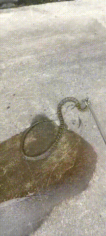新奥精准数据免费开放和因好奇徒手抓蛇被咬与因好奇徒手抓蛇被咬了