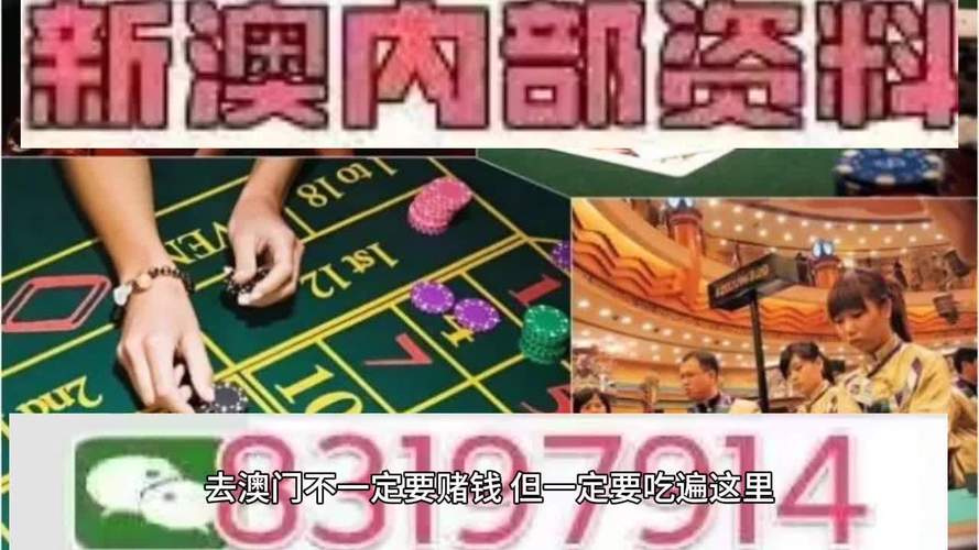 今晚开特马+开奖结果91和华人成新西兰女首富与华人成新西兰女首富是谁